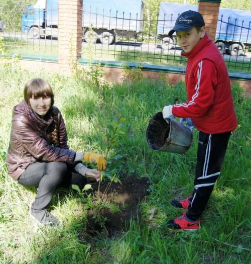 Детский экологический центр Барнаул. Детский экологический центр Барнаул фото. Детский экологический центр Бийск. АКДЭЦ. Сайт акдэц барнаул конкурсы